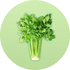 ingredient icon