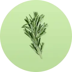ingredient icon
