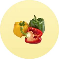 ingredient icon