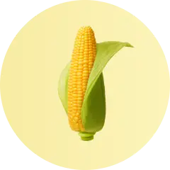 ingredient icon