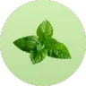 ingredient icon
