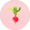 ingredient icon