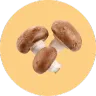 ingredient icon