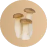 ingredient icon