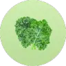 ingredient icon