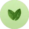 ingredient icon