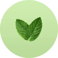 ingredient icon