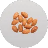 ingredient icon