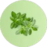ingredient icon