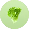 ingredient icon