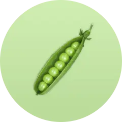 ingredient icon