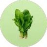 ingredient icon