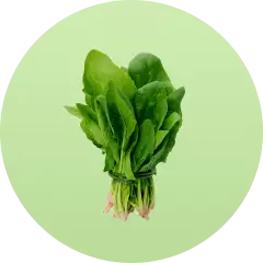 ingredient icon