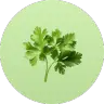 ingredient icon