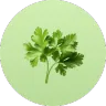 ingredient icon