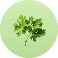 ingredient icon