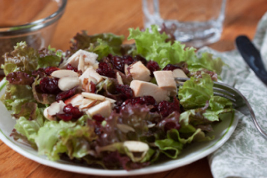 Chicken and Cranberry Salad