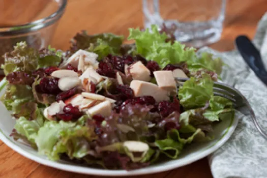 Chicken and Cranberry Salad