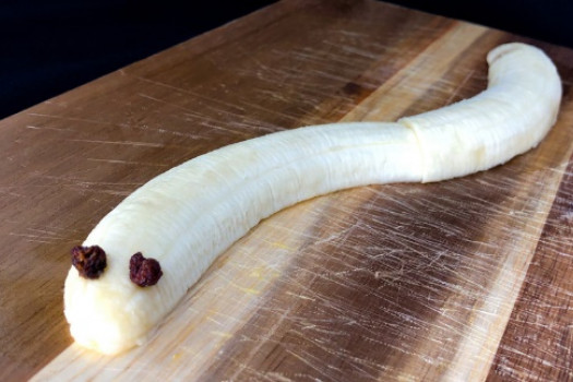 Fruit Snake