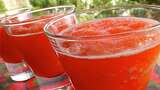 Luscious Slush Punch