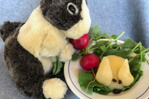 Pear Rabbit