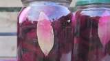 Raw Fermented Beets