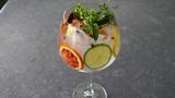 Spanish Gin and Tonic (Gin Tonica)