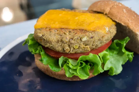 Tastee Burgers