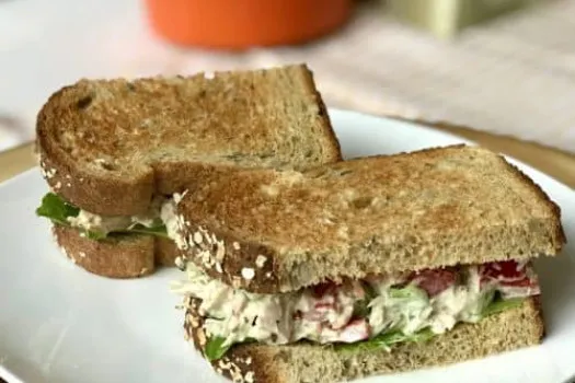 Tuna Veggie Picnic Sandwich
