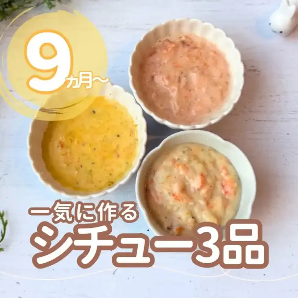 離乳食シチュー3種