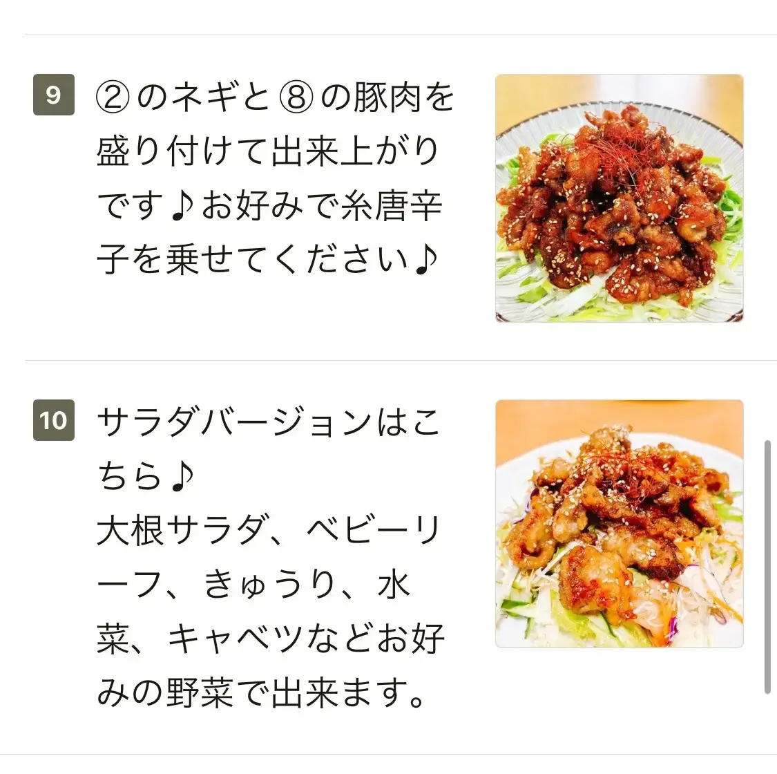 豚肉の甘辛炒めサラダ添え