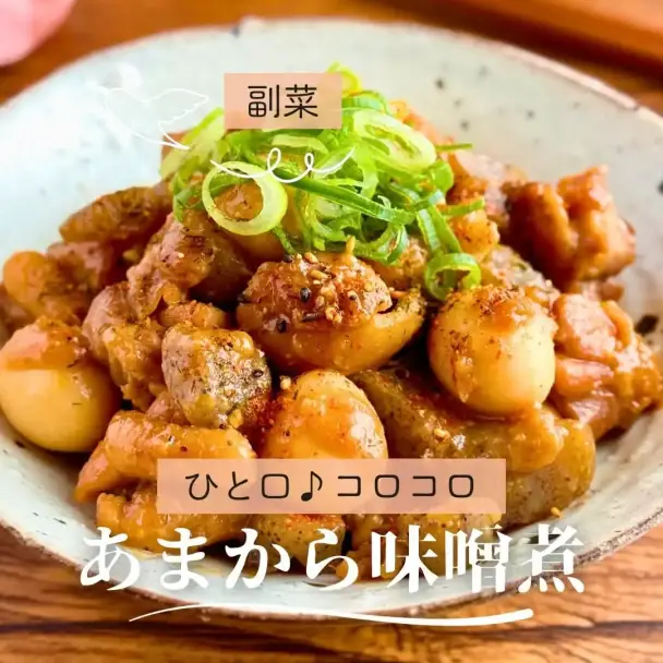 鶏肉とこんにゃくの甘辛味噌煮