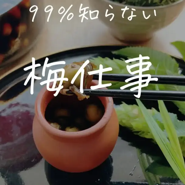 山梨式カリカリ青梅漬けと梅エキス醤油