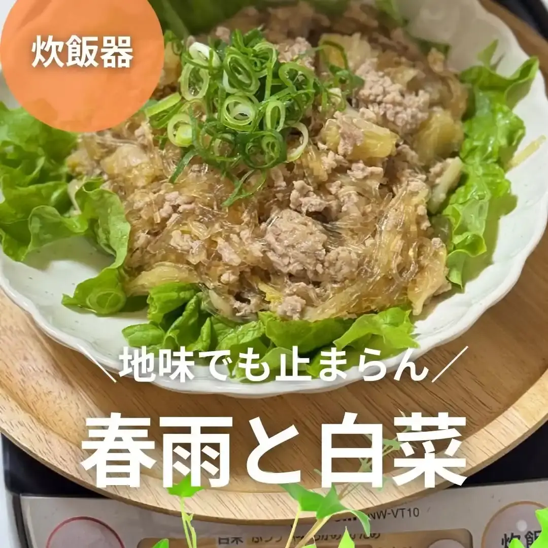 炊飯器で簡単！春雨と白菜の煮込み
