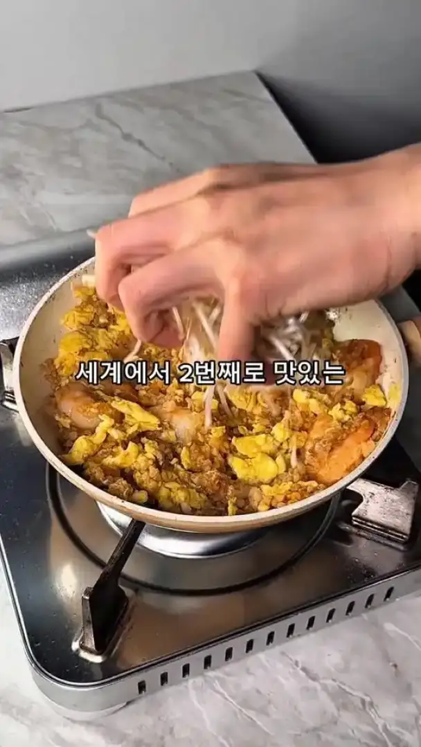 다이어트 나시고랭