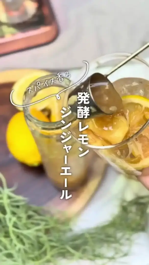 発酵レモンジンジャーエール