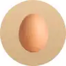 Egg