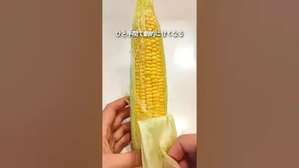 劇的に甘くなるトウモロコシの蒸し方