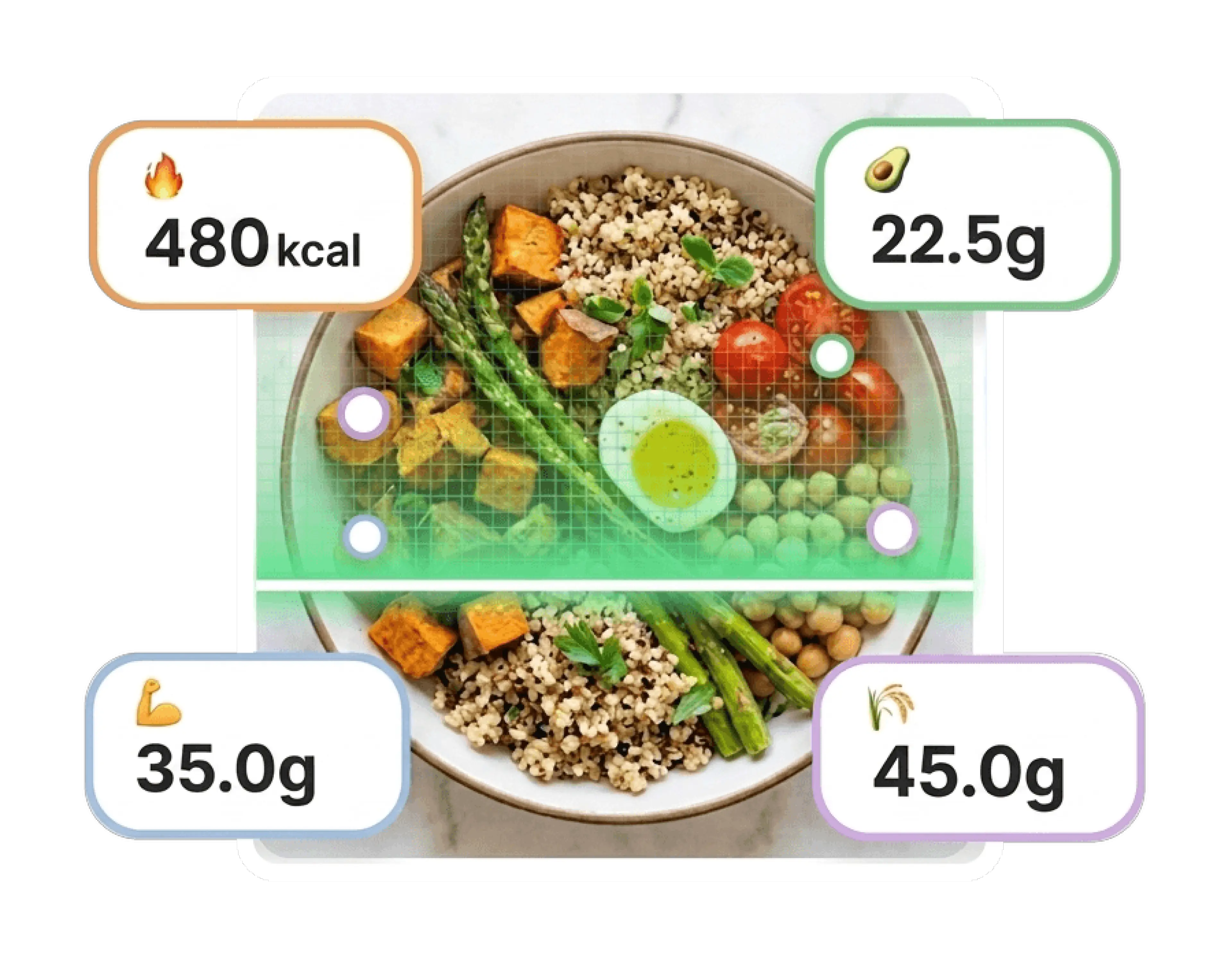 Recipe calorie and macronutrient analysis preview